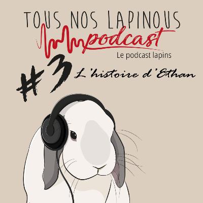 Podcast TNL #3 L'histoire d'Ethan Podcast TNL #3 L'histoire d'Ethan