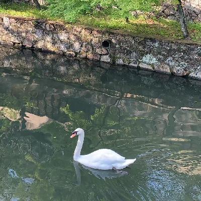 今年夏天的快乐,就在此刻喜欢
