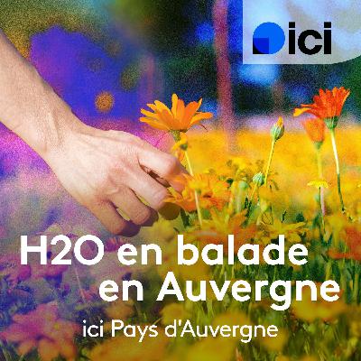 Balade autour de l'histoire d'une rivière sauvage, l'Allier avec Estelle Cournez du CEN Allier