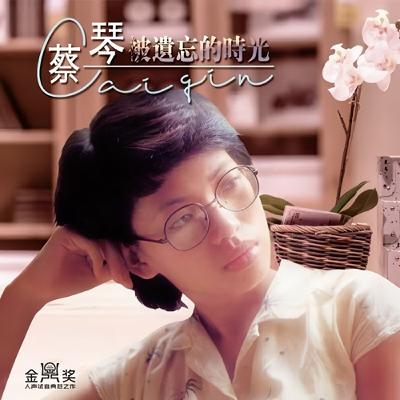 #蔡琴   #被遺忘的時光  #無間道「這首歌不是情歌，是一個秘密。」   「18歲寫下，卻感動40年。」   「為什麼發燒友都用它試音？」