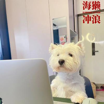 14.AI是当下版本唯一解,分享3个藏在AI隐秘角落的参考答案 14.AI是当下版本唯一解,分享3个藏在AI隐秘角落的参考答案