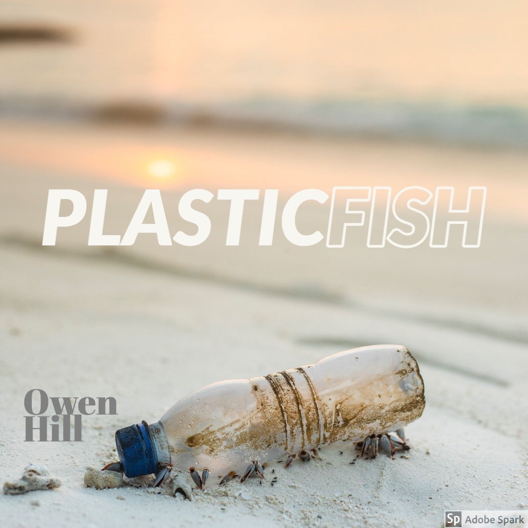 Plastic Fish by Owen Hill
