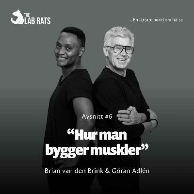 Hur man bygger muskler Hur man bygger muskler