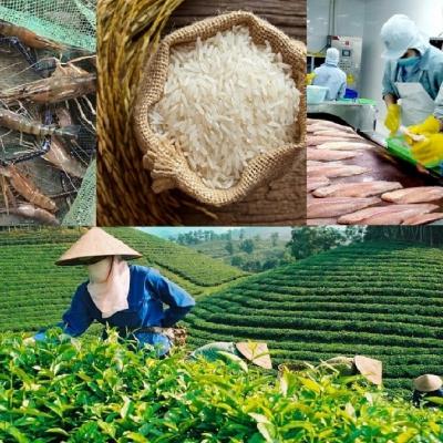 Diễn đàn chủ nhật - 80 năm Nông nghiệp Việt Nam - Khẳng định vị thế, vững bước hội nhập