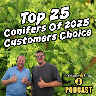 Top 25 Conifers Of 2025 Customers Choice | MrMaple Show Podcast