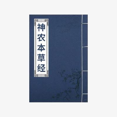 09 上品 石胆