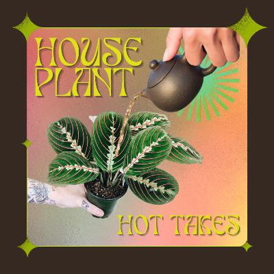 Houseplant Hot Takes Houseplant Hot Takes