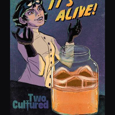 What's Brewing: Kombucha, Careers, & Curiosity What's Brewing: Kombucha, Careers, & Curiosity