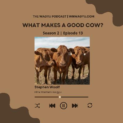 S2E13: What Makes a Good Cow?