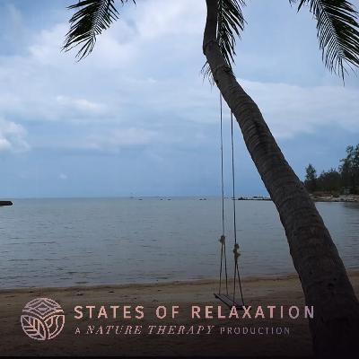 S2 E6: Tropical Rain in Koh Phangan Thailand | Sounds for Deep Sleep & Relaxation