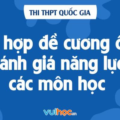 De cuong on thi DGNL