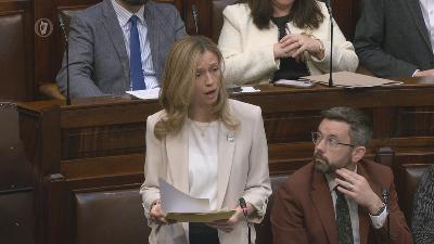 Social Democrats' abortion bill defeated in Dáil vote Social Democrats' abortion bill defeated in Dáil vote