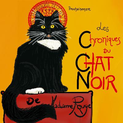 Introduction - Bienvenue au Chat Noir