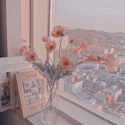 Insecurity Insecurity