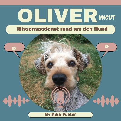 Q&A Anti Giftköder Training