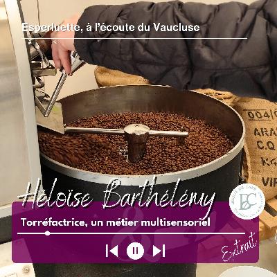 [Extrait] Torréfactrice, un métier multisensoriel