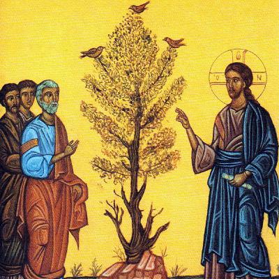 Twenty-Seventh Sunday in Ordinary Time (Year C) - Nourished by Faith