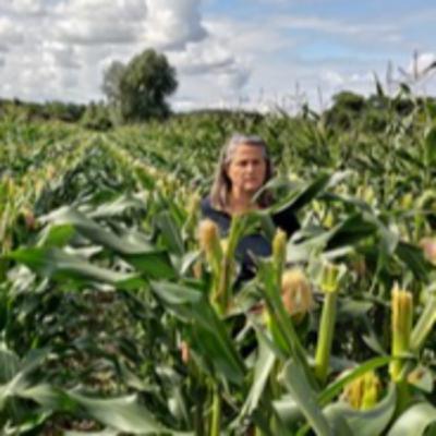 Toekomstboeren aan het woord: de wereld van zaadveredeling