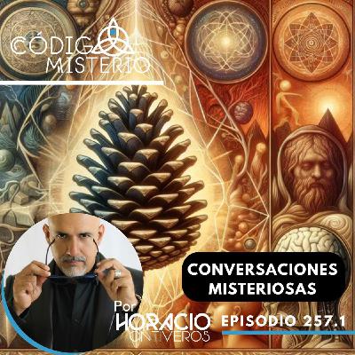257.1: Conversaciones misteriosas