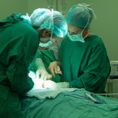 Feature: Inside the World of Orthopedic Surgery Feature: Inside the World of Orthopedic Surgery
