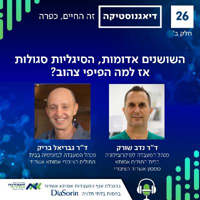 השושנים אדומות, הסיגליות סגולות אז למה הפיפי צהוב? | ב' | #026