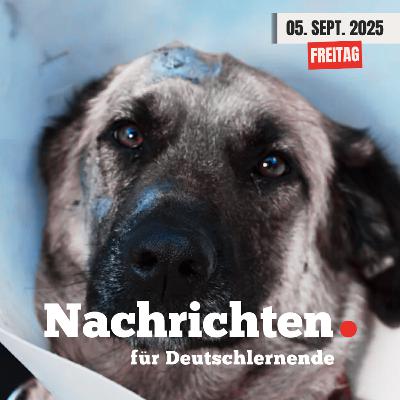 #113 Nachrichten für Deutschlernende vom 05. September 2025