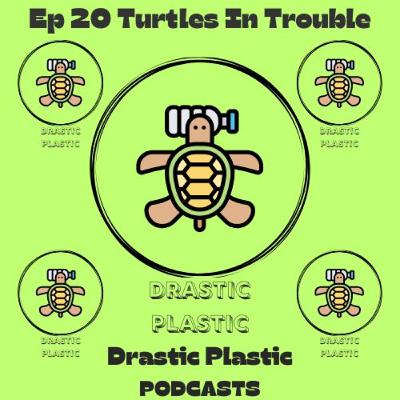 Ep 20 Turtles In Trouble