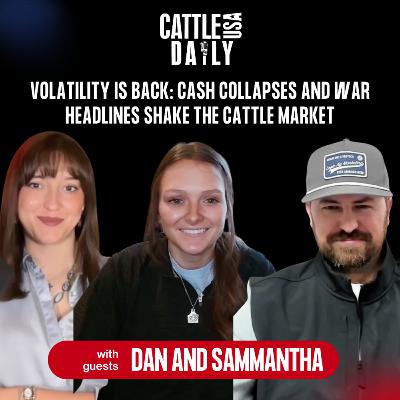278: Volatility Is Back: Cash Collapses and War Headlines Shake the Cattle Market with Dan and Samantha 278: Volatility Is Back: Cash Collapses and War Headlines Shake the Cattle Market with Dan and Samantha