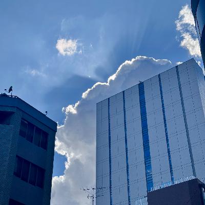 七月物语：夏季甲子园、救急外来、伊势志摩游记、机器人之梦