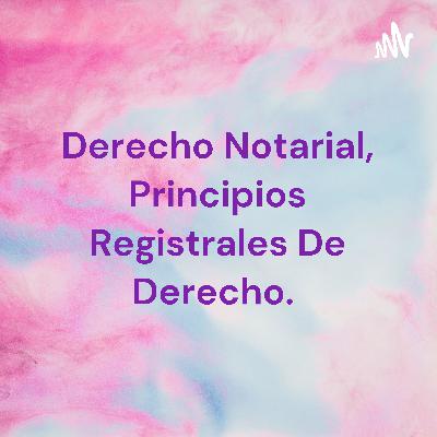 ¿Como saber más a cerca de los principios Registrales en Derecho? ¡Escuchalo ahora!