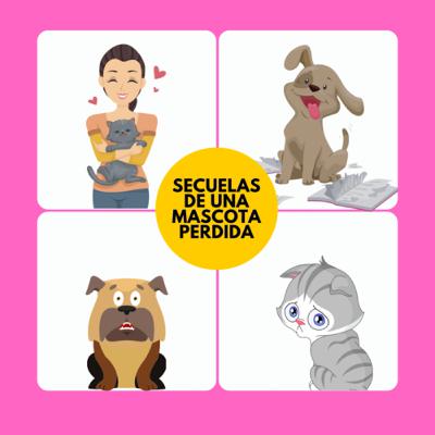 ¿Cómo afrontar los traumas de tu mascota después de que regresa a casa?