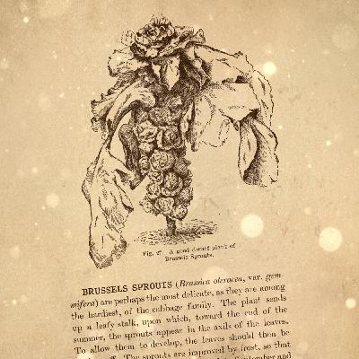 Loremen S6Ep46 - The Man-Faced Pigs of Brussels