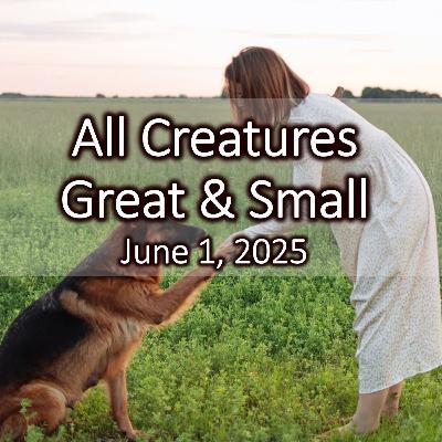 All Creatures Great and Small: Animals Bless us Every Day.     June 1, 2025