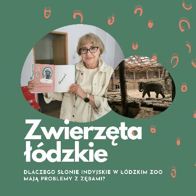 Dlaczego słonie w Łódzkim Zoo mają problemy z zębami? | dr Magdalena Janiszewska | Zwierzęta łódzkie Dlaczego słonie w Łódzkim Zoo mają problemy z zębami? | dr Magdalena Janiszewska | Zwierzęta łódzkie