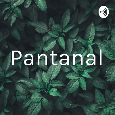 Pantanal