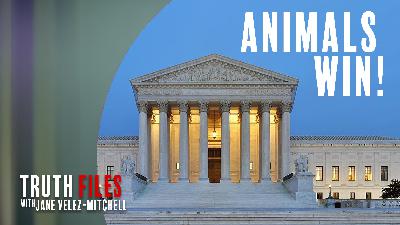 UnchainedTV's Truth Files: 5 Landmark Wins for Animal Rights You Need to Know
