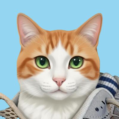 Part 3: Understand Your Cat's World