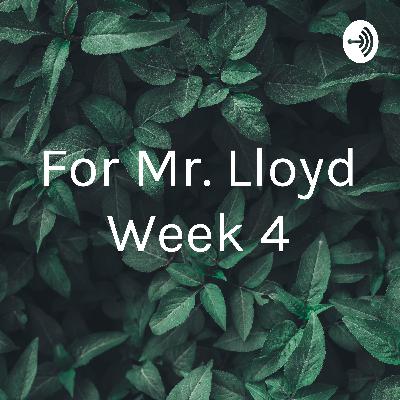 Mr. Lloyd Week 4