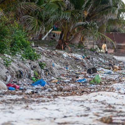 Sansibar: Ein Urlaubs-Paradies droht im Müll zu versinken