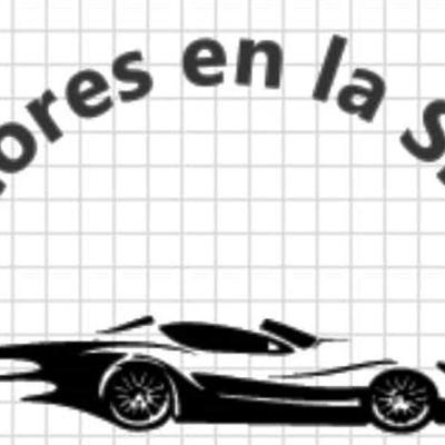 MOTORES EN LA SIERRA- MICRO