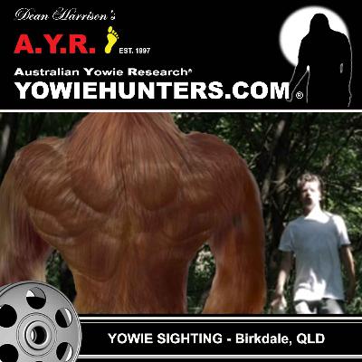 Yowie Sightings at Birkdale, Queensland 1990