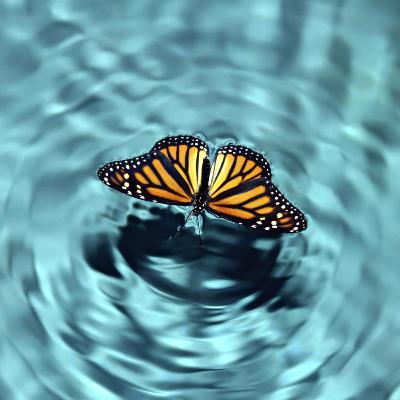 #97: Vai trò quyết định của nhà sáng lập đối với văn hóa tổ chức #97: Vai trò quyết định của nhà sáng lập đối với văn hóa tổ chức