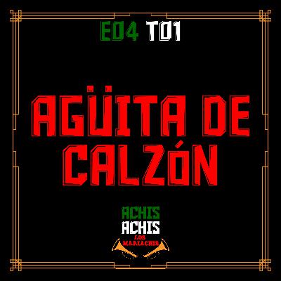 E04T01 AGÜITA DE CALZÓN E04T01 AGÜITA DE CALZÓN