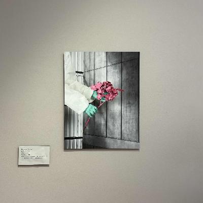 Katharina Schreiter, Membran - 5