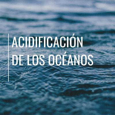 La acidificación de los océanos: pérdida de la biodiversidad marina.