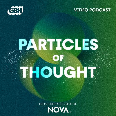 Introducing Particles of Thought