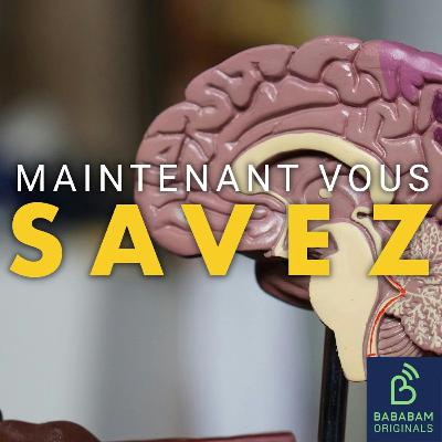 Qu’est-ce que le syndrome des faux souvenirs, qui nous touche tous ? Qu’est-ce que le syndrome des faux souvenirs, qui nous touche tous ?
