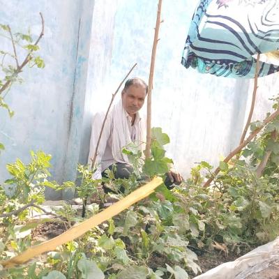 गुरुजी का कमाल घर की छत को ही बना दिया खेत गुरुजी का कमाल घर की छत को ही बना दिया खेत