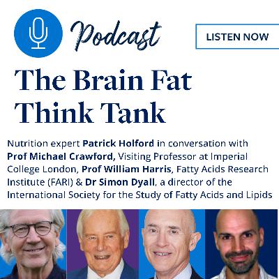 The Brain Fat Think Tank The Brain Fat Think Tank