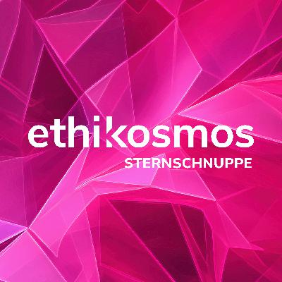 «Ethik-Sternschnuppe» mit Dr. Alexandra Kaiser-Duliba